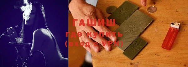 гашик Вяземский