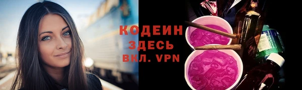 гашик Вяземский