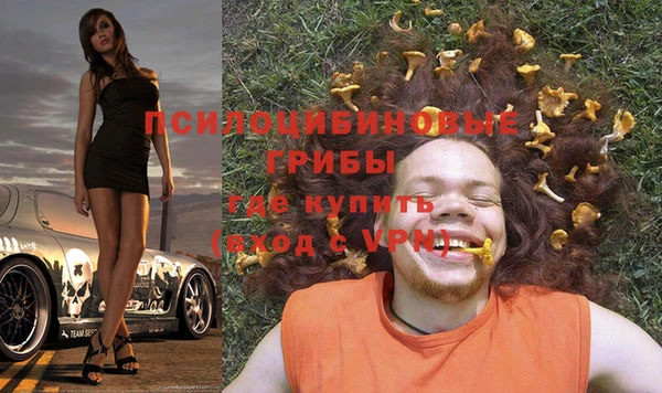 марки nbome Пересвет