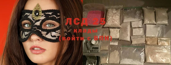 гашик Вяземский