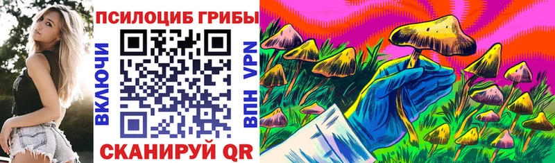 Псилоцибиновые грибы мухоморы  закладка  Малоархангельск 